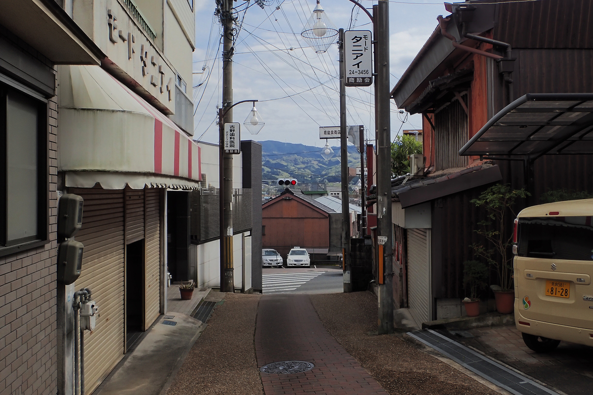 f:id:blepharisma:20201217120306j:plain