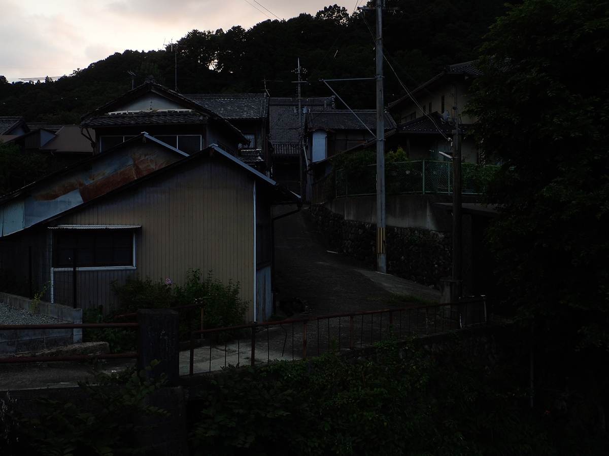 f:id:blepharisma:20210513114735j:plain