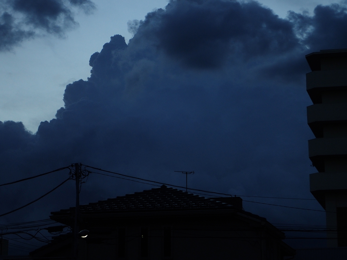 f:id:blepharisma:20210517101716j:plain