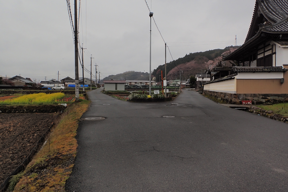 f:id:blepharisma:20210524090429j:plain