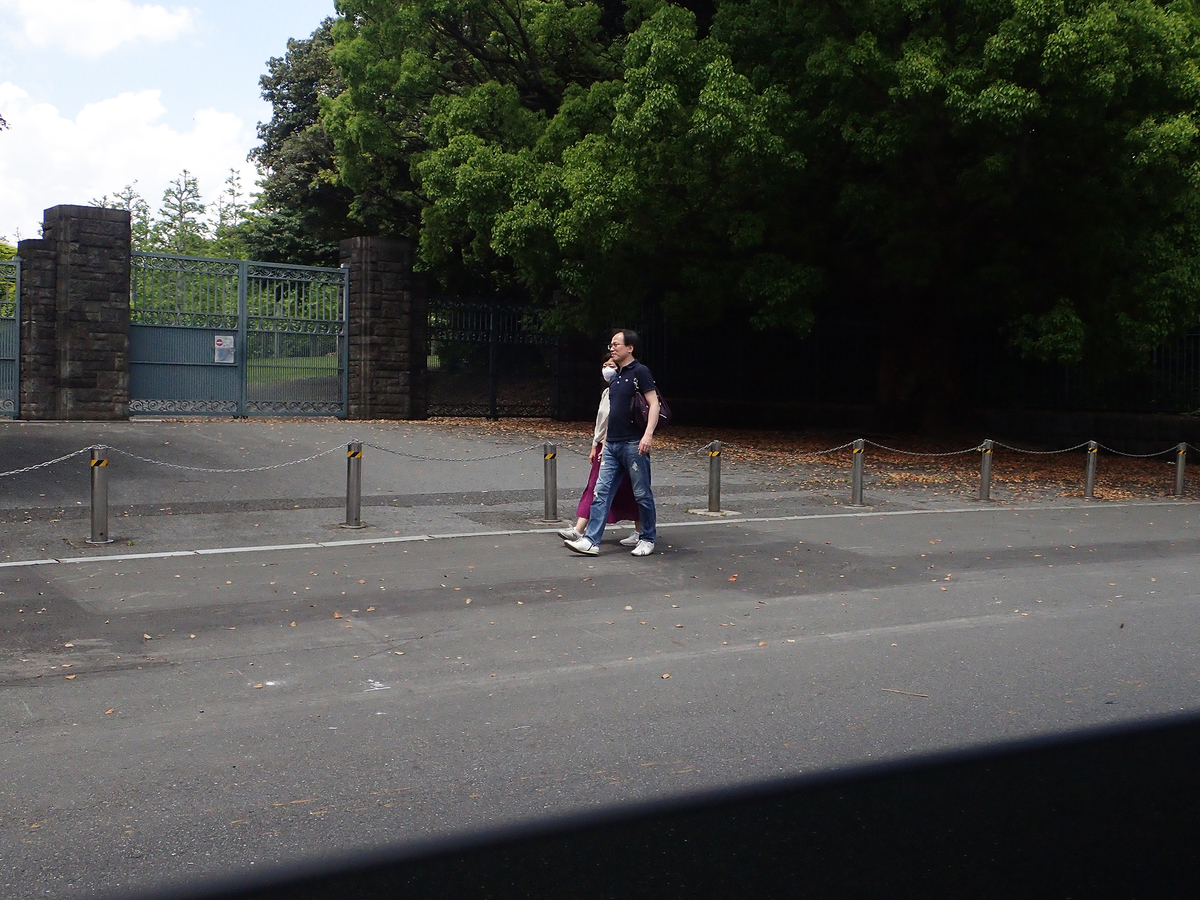 f:id:blepharisma:20220125103127j:plain