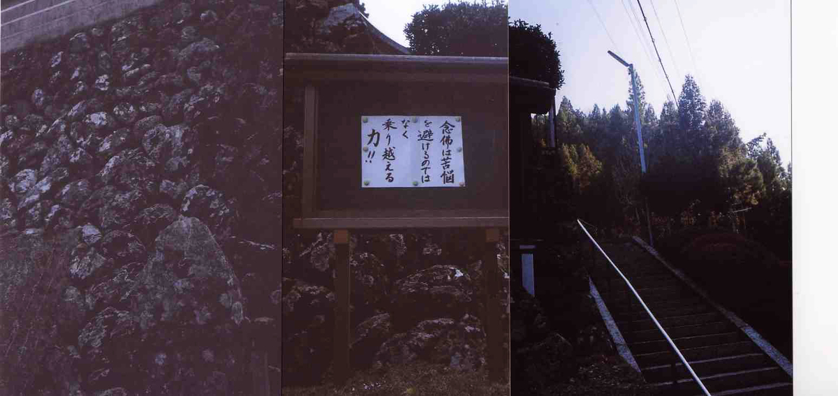 f:id:blepharisma:20220201132301j:plain