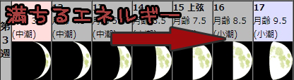 f:id:bless-you:20181119104539j:plain f:id:bless-you:20181119104539j:plain