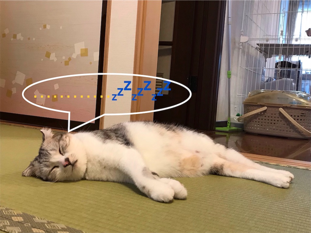 f:id:bless0519:20190925135354j:image