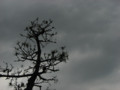 20081026102744