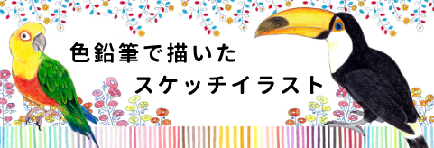 アナログ手描きのスケッチイラスト