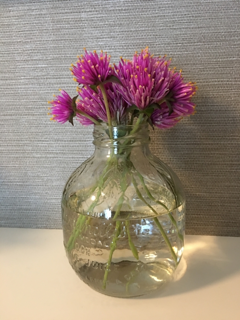 f:id:blindsummerfish6:20170922235249j:plain