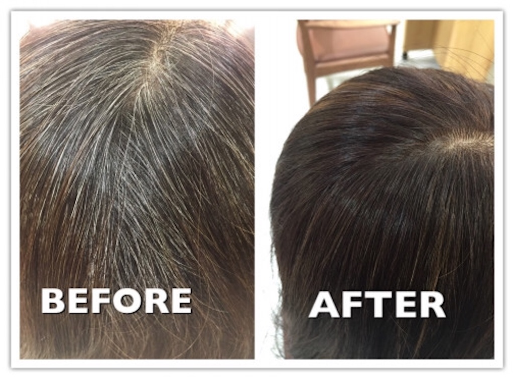 白髪染めで黒くなる時代は終わった！白髪染めを使わないで白髪を染める！ ヲタカラぼっくす