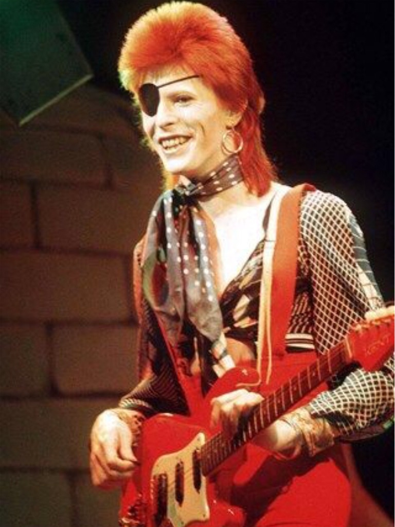 世界最低の髪型?!マレットヘアとは? ヲタカラぼっくす