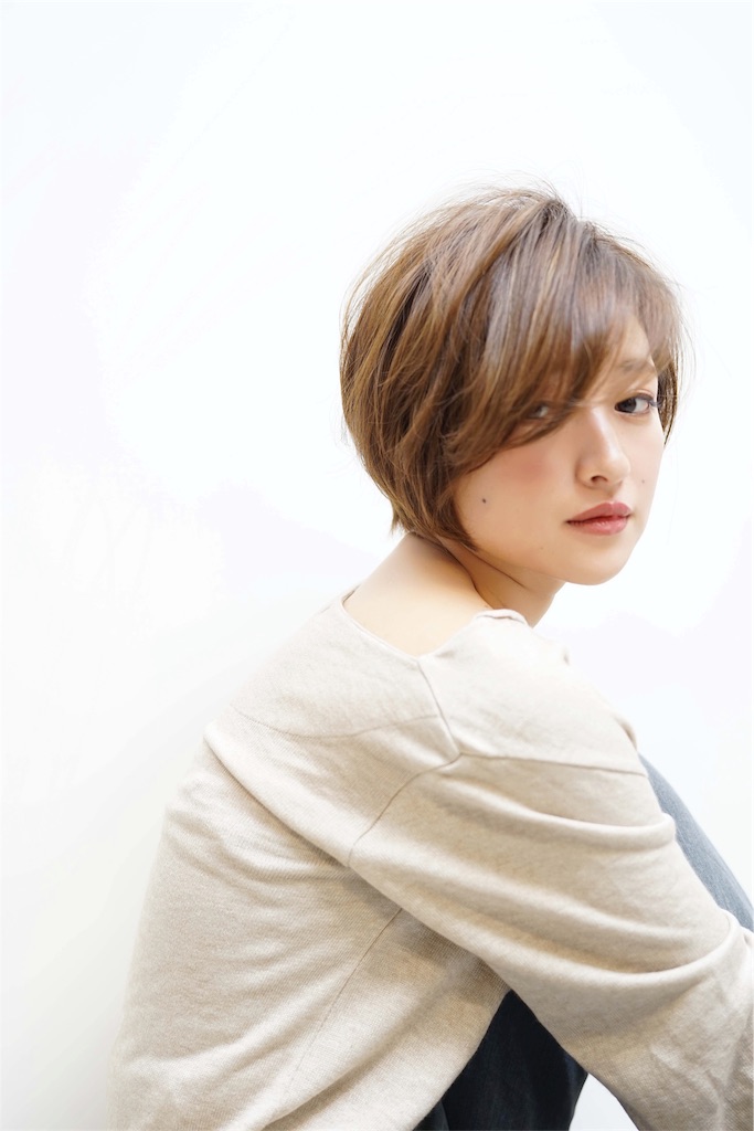 f:id:blink221:20190118190730j:image f:id:blink221:20190118190730j:image