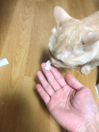 f:id:bliss:20120927201812j:image