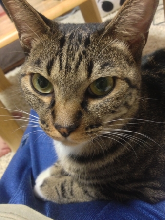 f:id:bliss:20121011222312j:image