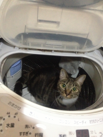 f:id:bliss:20121020002701j:image