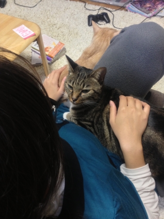 f:id:bliss:20121105203146j:image