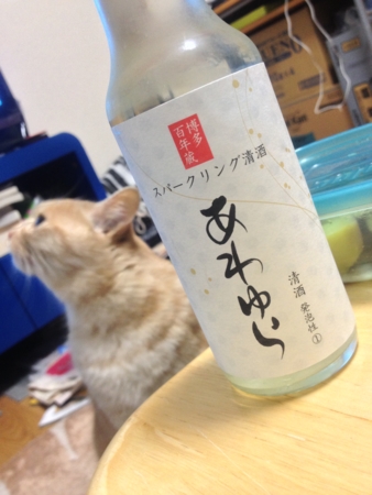 f:id:bliss:20130201213826j:image