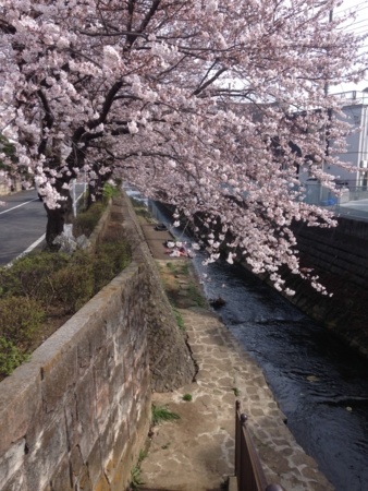 f:id:bliss:20140329143354j:image