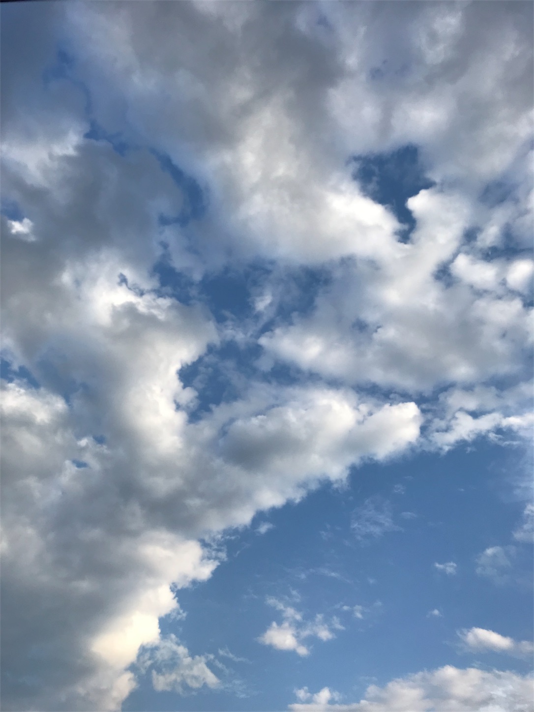 f:id:blissfultouch:20180812174016j:plain f:id:blissfultouch:20180812174016j:plain
