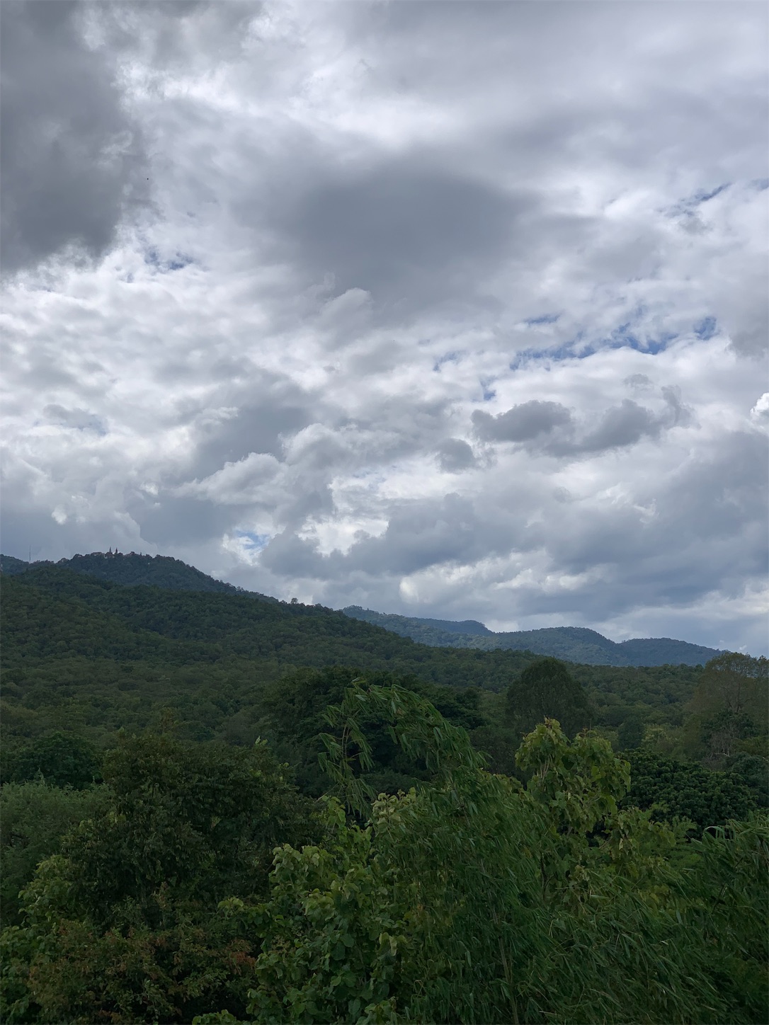 f:id:blissfultouch:20190717070233j:plain f:id:blissfultouch:20190717070233j:plain