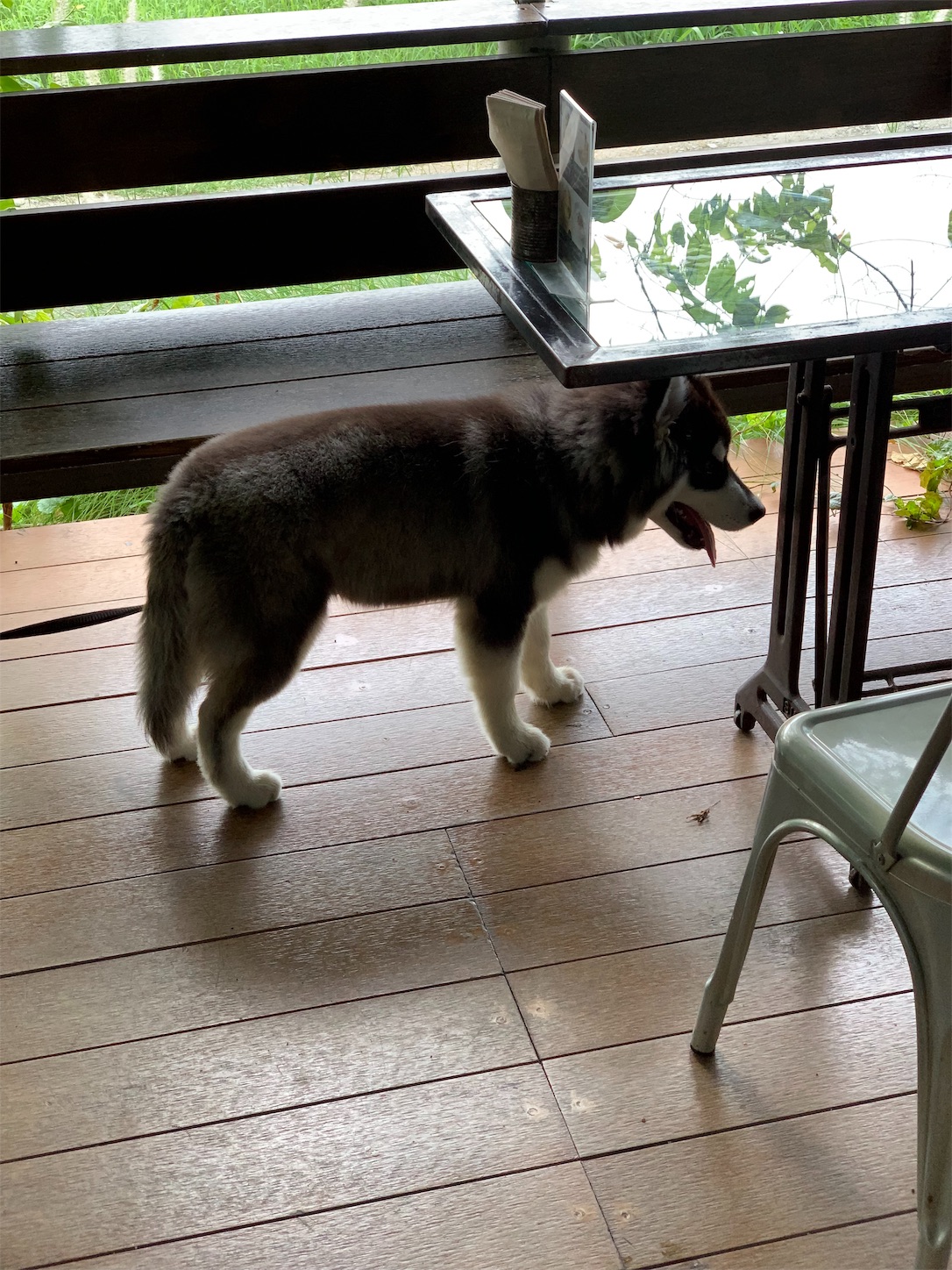 f:id:blissfultouch:20190717070505j:plain f:id:blissfultouch:20190717070505j:plain