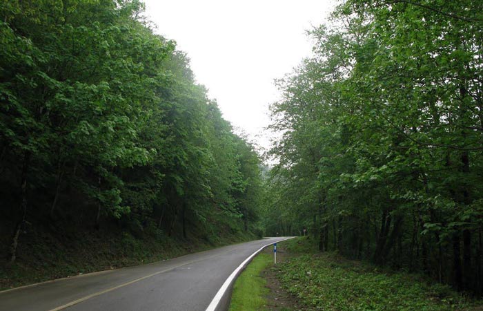 f:id:blithavapeyma:20200915190410j:plain f:id:blithavapeyma:20200915190410j:plain