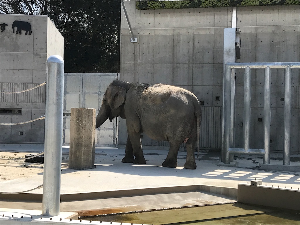 f:id:blitzer:20180314232937j:image:h320