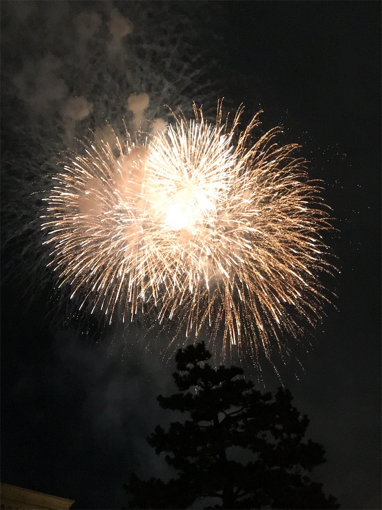 f:id:blitzer:20181106210325j:image:h320