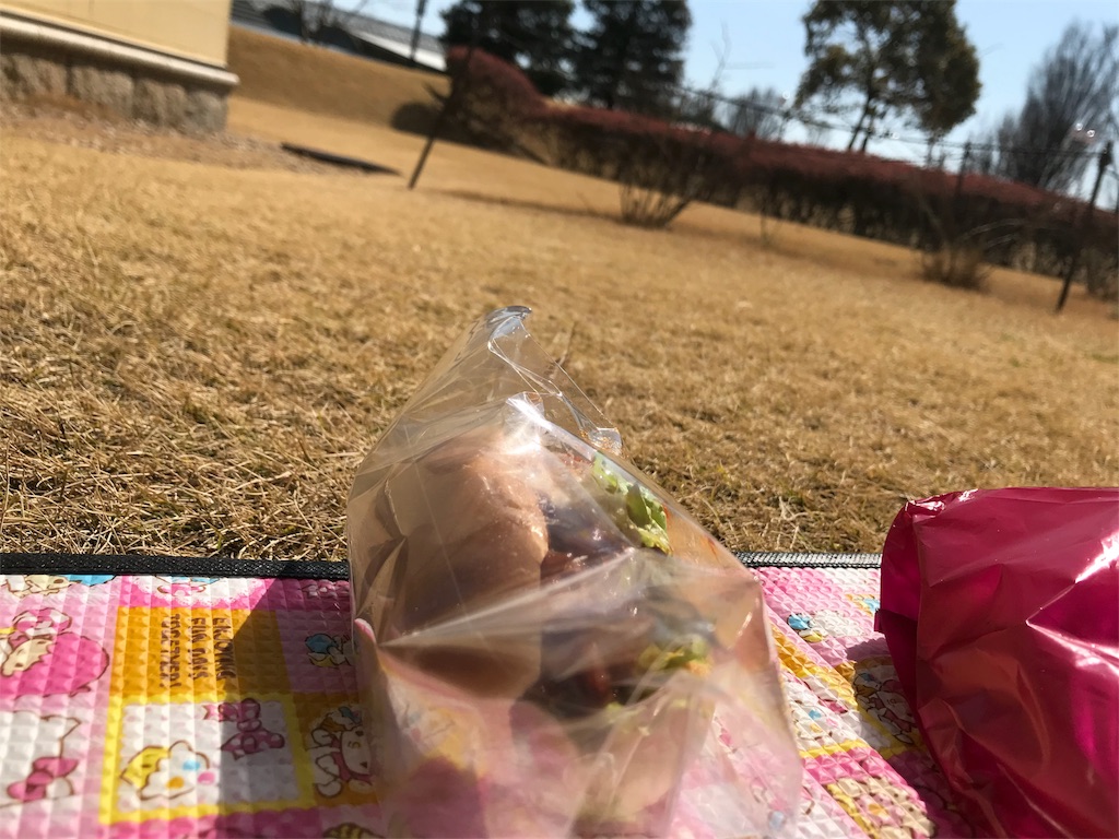 f:id:blitzer:20190223232002j:image:h320 f:id:blitzer:20190223232002j:image:h320