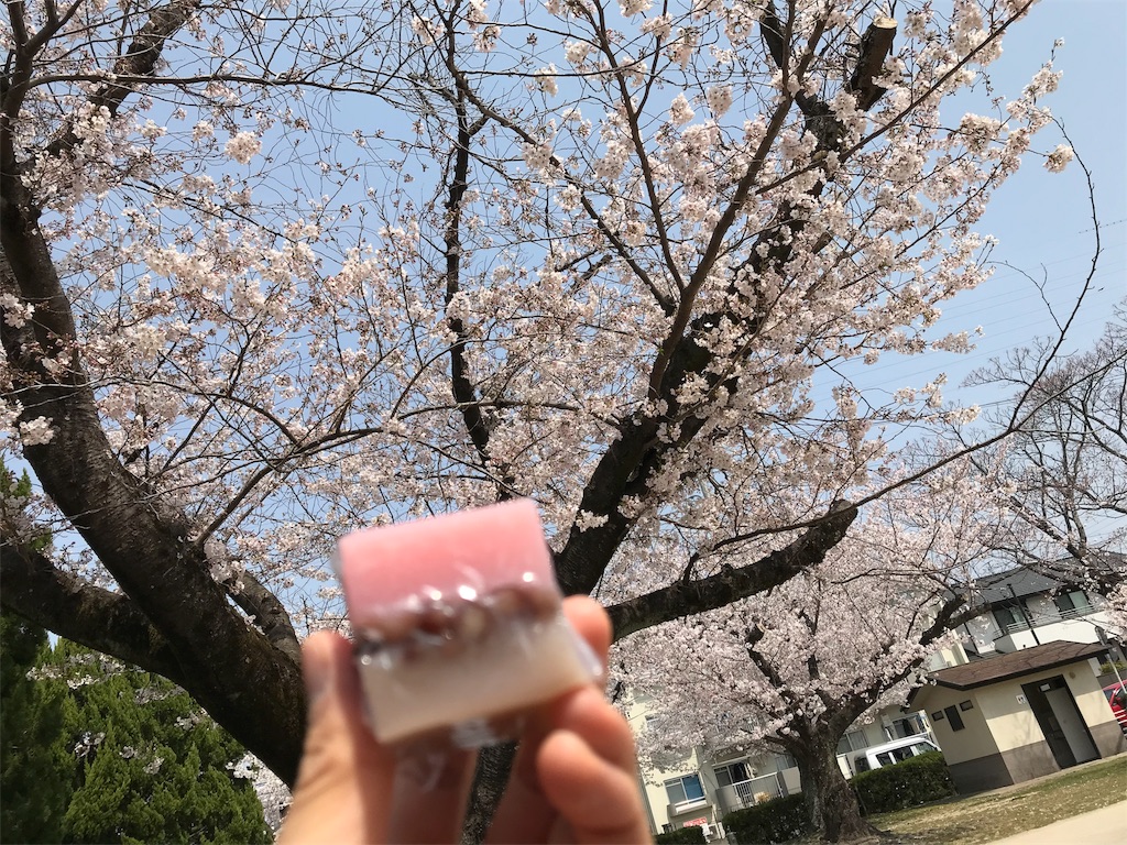 f:id:blitzer:20190407223615j:image:h320
