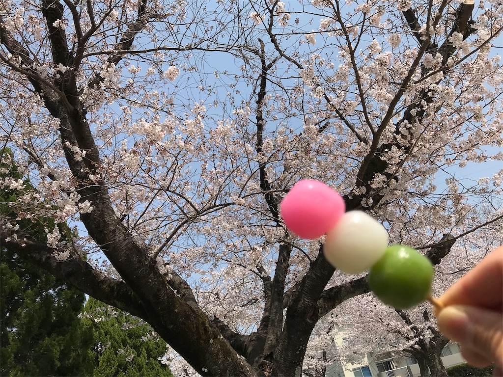 f:id:blitzer:20190407223643j:image:h320