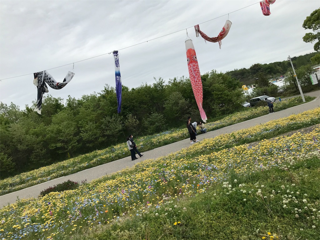 f:id:blitzer:20190429223347j:image:h320 f:id:blitzer:20190429223347j:image:h320