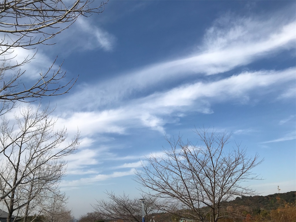 f:id:blitzer:20201212231746j:plain:h320