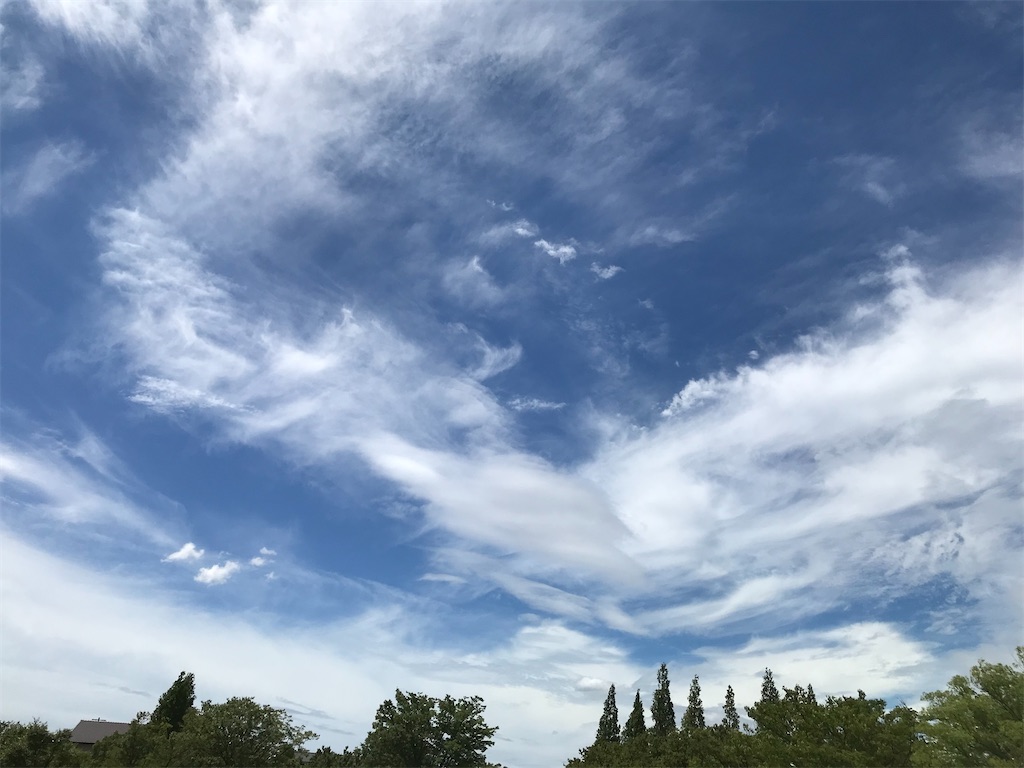 f:id:blitzer:20210808205725j:plain:h320