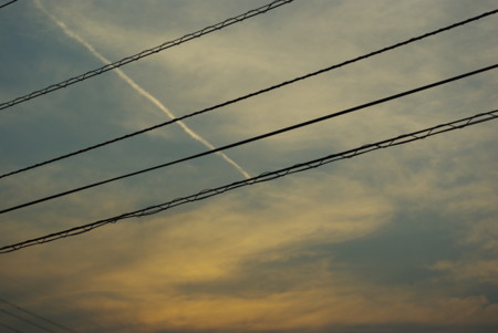 f:id:blixen:20100131163658j:image