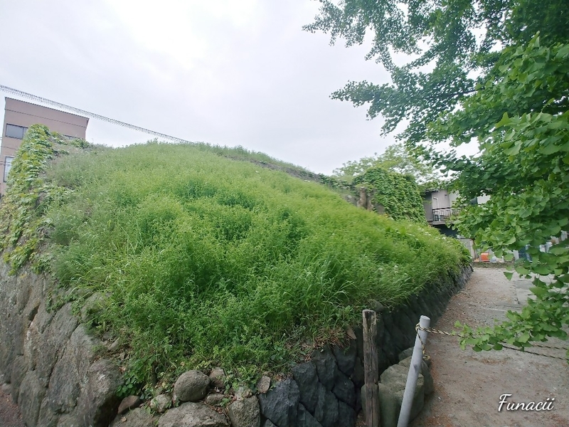 f:id:blkataritai:20200516150740j:plain