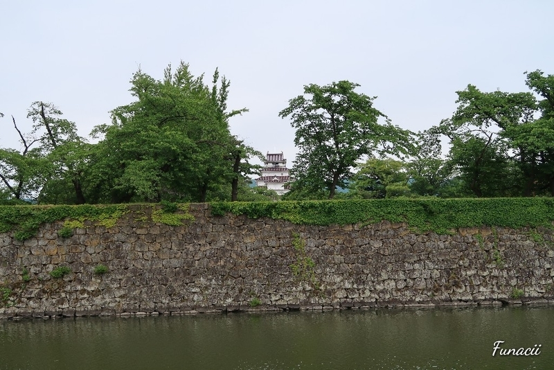f:id:blkataritai:20200604213000j:plain f:id:blkataritai:20200604213000j:plain