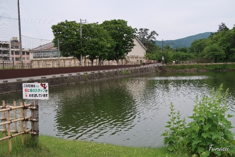 f:id:blkataritai:20200604213010j:plain f:id:blkataritai:20200604213010j:plain