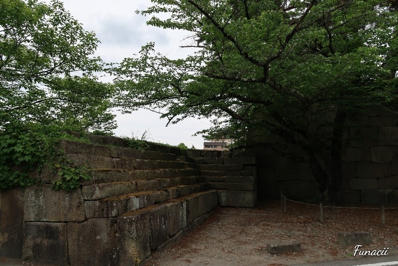 f:id:blkataritai:20200604214733j:plain f:id:blkataritai:20200604214733j:plain