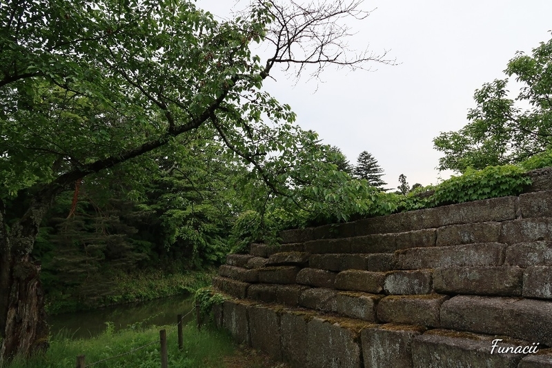 f:id:blkataritai:20200604214812j:plain f:id:blkataritai:20200604214812j:plain