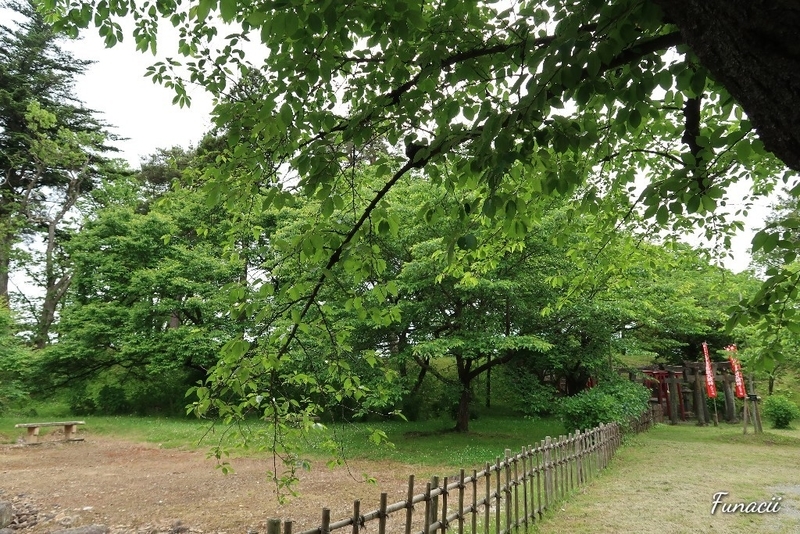 f:id:blkataritai:20200604215053j:plain f:id:blkataritai:20200604215053j:plain