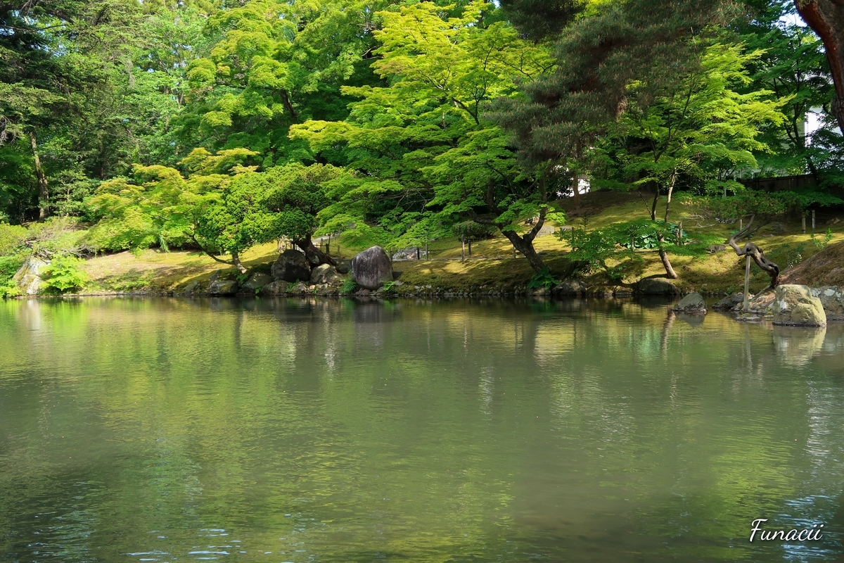 f:id:blkataritai:20200609232551j:plain f:id:blkataritai:20200609232551j:plain