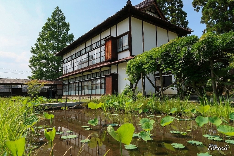 f:id:blkataritai:20200609233011j:plain f:id:blkataritai:20200609233011j:plain