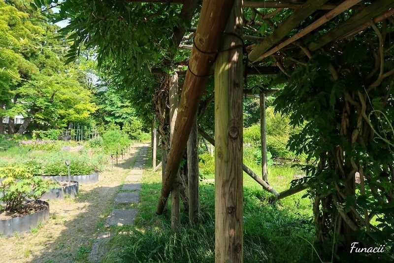 f:id:blkataritai:20200609233015j:plain f:id:blkataritai:20200609233015j:plain