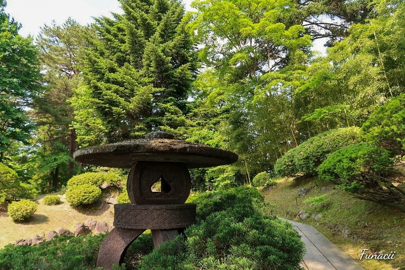f:id:blkataritai:20200609233045j:plain f:id:blkataritai:20200609233045j:plain