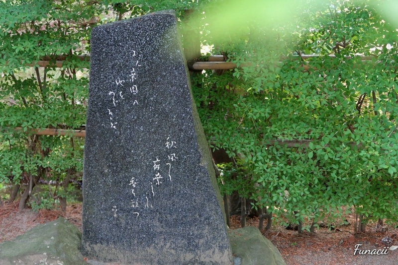 f:id:blkataritai:20200609233113j:plain f:id:blkataritai:20200609233113j:plain
