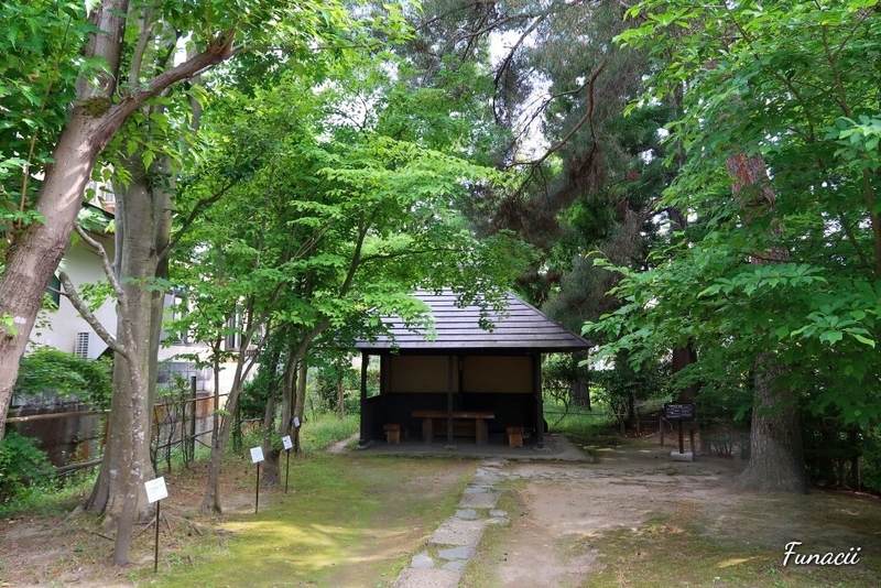 f:id:blkataritai:20200609233119j:plain f:id:blkataritai:20200609233119j:plain