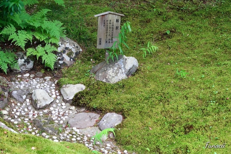 f:id:blkataritai:20200609233219j:plain f:id:blkataritai:20200609233219j:plain