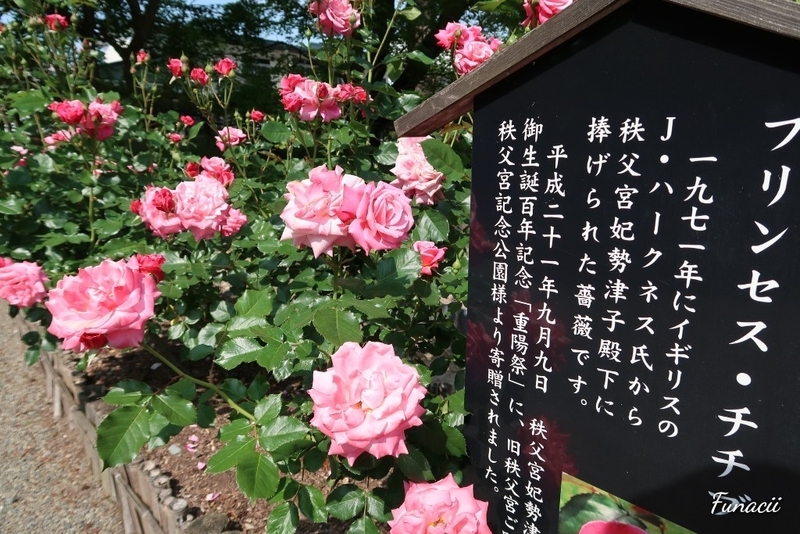 f:id:blkataritai:20200610001617j:plain f:id:blkataritai:20200610001617j:plain