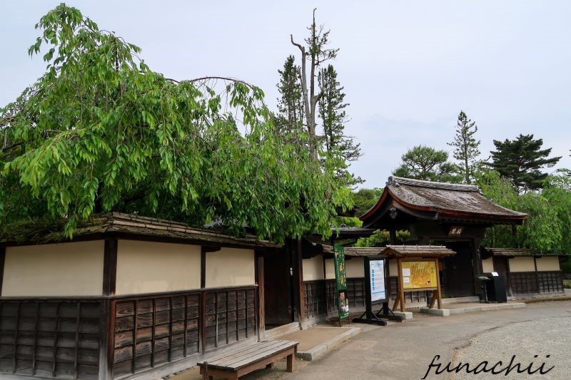 f:id:blkataritai:20200917214408j:plain f:id:blkataritai:20200917214408j:plain