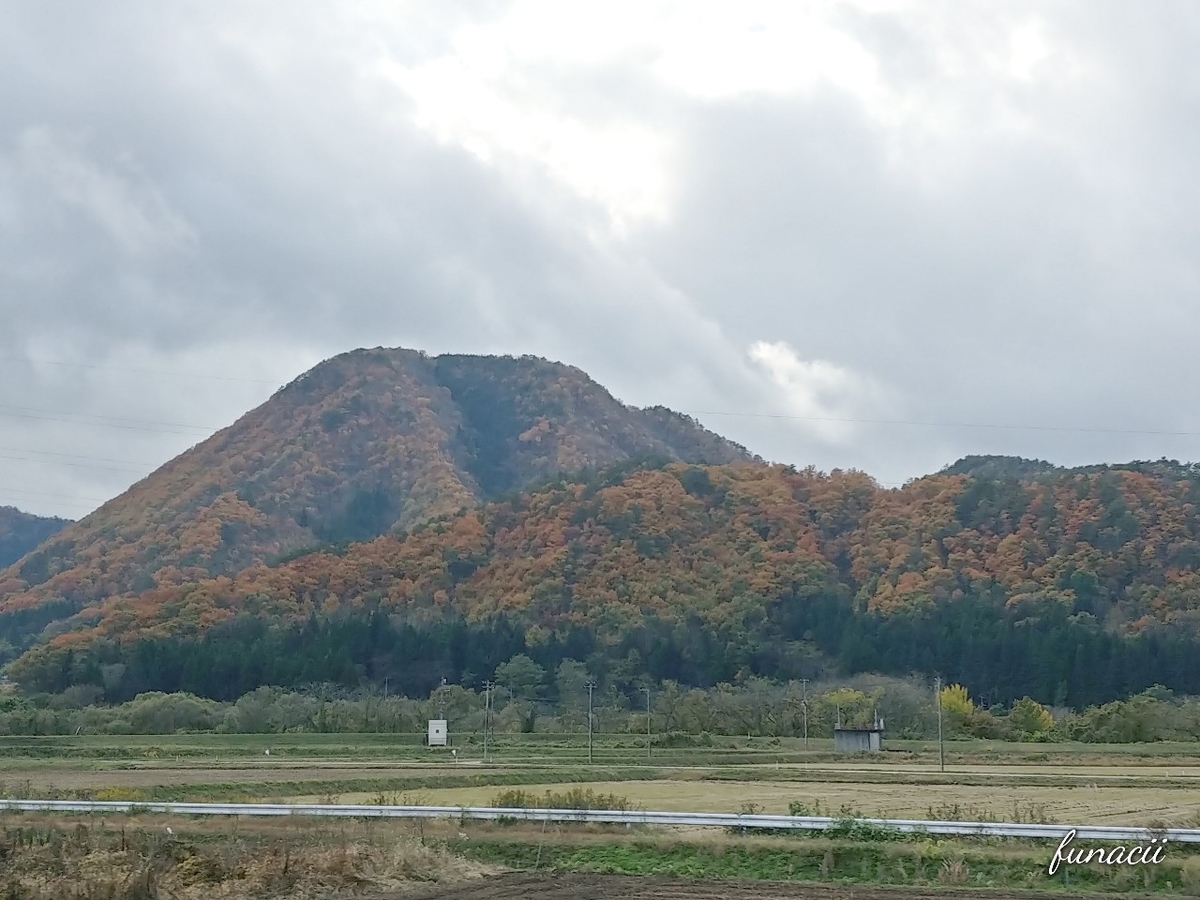 f:id:blkataritai:20201114002836j:plain