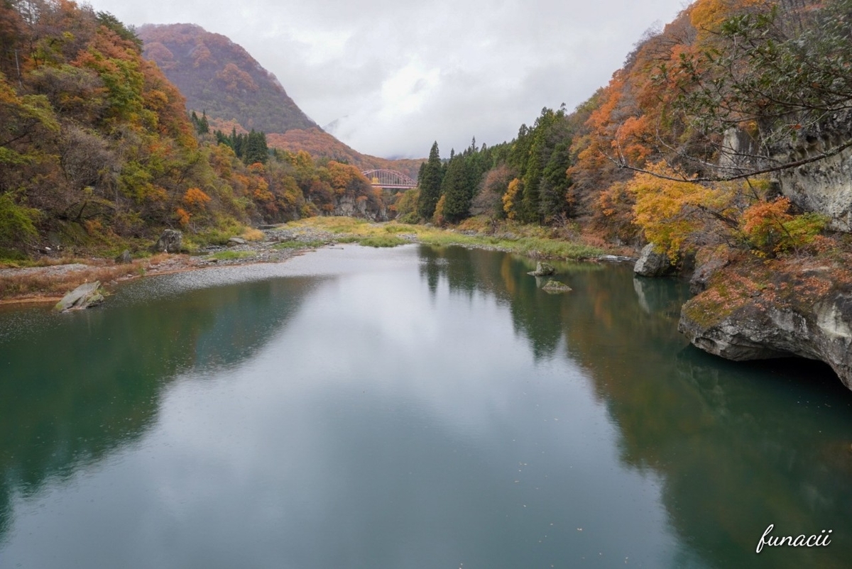 f:id:blkataritai:20201114160401j:plain